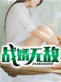 战婿无敌杨风叶梦妍