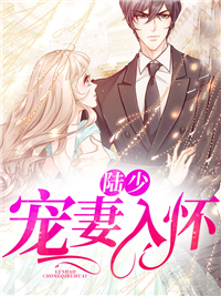 陆少宠妻入怀