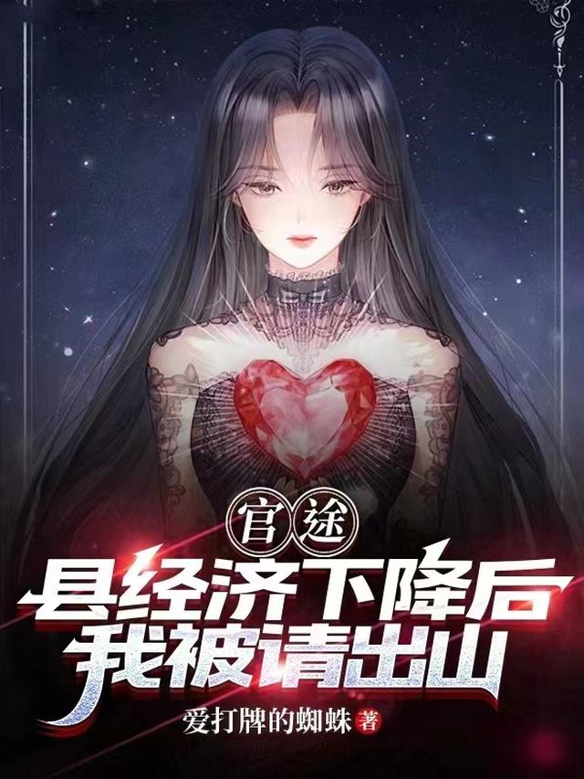 官途：县经济下降后我被请出山